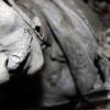 Zinksoldat: Kriegerdenkmal von Maria-Thann soll restauriert werden