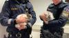 Fünf Zwergkaninchen verbrachten die Nacht auf Dienstag bei der Polizeiinspektion Kempten.
