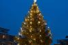 In Belgien hat sich am Donnerstag auf einem Weihnachtsmarkt ein tragisches Unglück ereignet. Eine Windböe riss einen 20 Meter hohen Christbaum um, der auf drei Menschen viel. Eine Frau starb dabei. (Symbolbild)