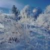 Winter im Allgäu unterm Strich völlig normal - Tiefsttemperatur bei 29 Grad