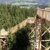 Baumkronenweg in Ziegelwies soll gebaut werden