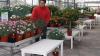 Umbau des Gartencenters Gilg in Buchloe abgeschlossen ndash Kosten 300 000 Euro