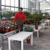 Umbau des Gartencenters Gilg in Buchloe abgeschlossen ndash Kosten 300 000 Euro