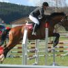 128 Teilnehmer beim Trainingsturnier des Fuchstaler Reit- und Fahrvereins