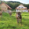 Viel Programm beim Mühlentag in Obergünzburg