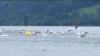 30 Jahre Allgäu Triathlon: Welt- und Europameister stellen sich der sportlichen Herausforderung