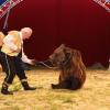 Circus Luna gastiert an der Oybelehalle in Oberstdorf