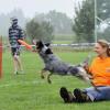Fliegende Hunde bei der Hundefrisbee-EM in Pforzen