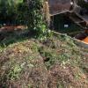 Gartenabfälle nicht in Tonne werfen