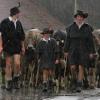 Vier Galtalpen ziehen 2012 mit ihren Herden nach Schöllang ndash Besucher trotzen dem Wetter