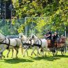 Tag des Pferdes in Maria-Thann
