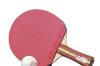 Tischtennis: Leuterschach II dominiert zweite Kreisliga