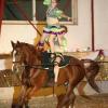 Reiten: Voltigier-Gala in Memmingen