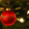 CVJM Memmingen sammelt ausgediente Christbäume ein