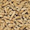 Pellets (Symbolbild).