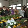 Frühlingsfest: Kräuterfrauen in Jungholz verkaufen Blumen und Kräuter