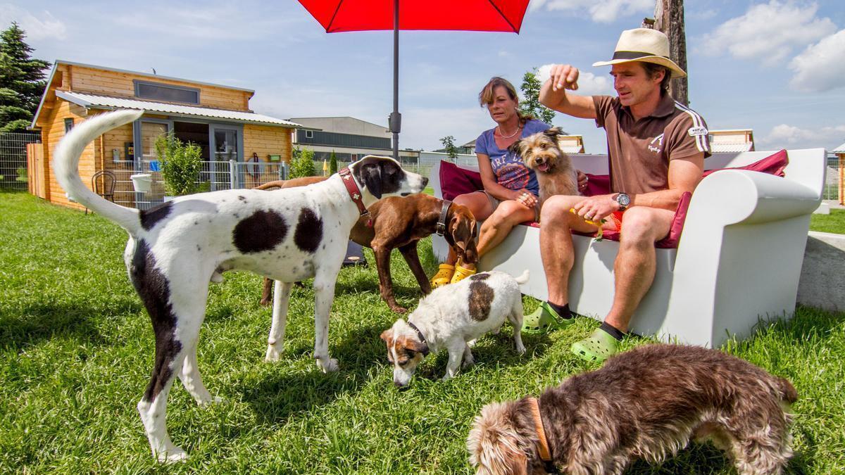 Hundehotel Dog Lodge in Tannheim
