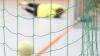 Hallenfußball: BSK Neugablonz gewinnt die Generalprobe