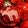 Weiler-Simmerberg liefert 2016 den Christbaum für den Münchner Marienplatz