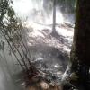 Feuerwehren Weiler und Simmerberg verhindern Waldbrand