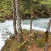 Wasserkraftwerk Älpele bei Hinterstein: Folgen für Natur ist die zentrale Frage