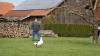 In Eurishofen ist eine Gans aufgetaucht – doch keiner kennt das Federvieh