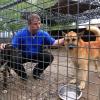14.300 statt 1.500 Euro: Mindelheim will Tierheim Beckstetten stärker unterstützen