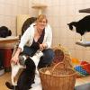 Kemptener Tierheim plagen Geldsorgen