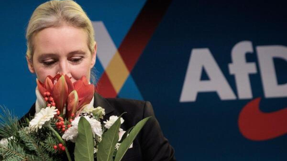 afd-nominiert-weidel-als-spitzenkandidatin-f-r-den-wahlkampf