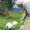 Hund auf B12 ausgesetzt: Tierheim Marktoberdorf kümmert sich um Tiere während der Urlaubszeit