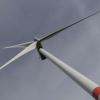 Gegner der Windkraftanlagen bei Lamerdingen entdecken Vogelnester