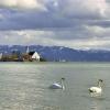 Bodensee-Tourismus präsentiert heute Veranstaltungen und Produkte für 2014