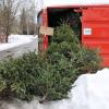 Landwirtschaftsamt Kempten bietet Christbaum-Sammelaktion an