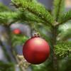 Tipps und Tricks rund um den Christbaum