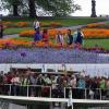 Weniger Touristen auf der Insel Mainau