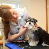 Auch wenn sie deshalb oft belächelt wird: Elena Knippenberg aus Kaufbeuren liebt ihren Beruf als Hundefriseurin