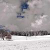 Schnee und Frost überraschen Tiere und Pflanzen im Allgäu