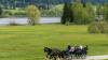Auch in mittelhohen Lagen: Im Allgäu sind jetzt viele Wege wieder begehbar