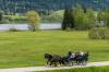Auch in mittelhohen Lagen: Im Allgäu sind jetzt viele Wege wieder begehbar