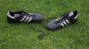 In Lübeck ist ein Kreisliga-Spiel eskaliert. Fans stürmten das Feld - es kam zu gewalttätigen Szenen. (Symbolbild)