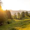 Die Abendsonne scheint auf die Wiesen im Allgäu bei Oberstdorf. In den nächsten Tagen scheint die Sonne im Allgäu vorallem an den Nachmittagen. (Symbolbild)