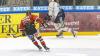 Spitzenspiel in der Eishockey Oberliga Süd: Am Freitag traf der ECDC Memmingen im Heimspiel auf die Heilbronner Falken. Über 2.700 Zuschauer sahen dabei in der Eissporthalle am Hühnerberg einen knappen und verdienten 7:6-Sieg der Gastgeber.
 
Die Torschützen:

1:0, Dominik Meisinger in der 10. Minute
1:1 Linus Wernerson Libäck in der 12. Minute
1:2 Jan Pavlu in der 15. Minute
2:2 Tobias Meier in der 21. Spielminute
3:2 Sofiene Bräuner in der 25. Spielminute
3:3 Pontus Wernerson Libäck in MInute 28.
4:3 Marcus Marsall in der 28. Minute.
4:4 Thomas Supis in der 39. Spielminute
4:5 Frederik Cabana in der 39. Minute
5:5 Tobias Meier in der 42. Minute
6:5 Denis Fominych in der 42. Minute
7:5 Denis Fominych in der 51. Minute
7:6 Oula Uski in Minute 55.

 