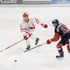 Der ESC Kempten hat sein Heimspiel in der Meisterrunde A der Bayernliga gegen den TEV Miesbach mit 7:6 gewonnen. Den Sharks gelang es trotz 0:4 Rückstands das Spiel zu drehen und besiegte die favorisierte Mannschaft nach der Overtime. 
 
Fotos: Dirk Klos