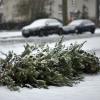 Ein Autofahrer ist bei Westendorf frontal mit einem auf der Fahrbahn liegenden Christbaum zusammengestoßen. (Symbolbild)