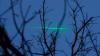 Ein 22-Jähriger hat in Krumbach einen Autofahrer mit einem Laserpointer geblendet. (Symbolbild)