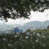 Windböen, Regen und teilweise Nebel. Das erste Oktoberwochende bringt Schmuddelwetter ins Allgäu.  