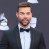 Ricky Martin sieht seinen makellosen Ruf durch die Vorwürfe geschädigt.