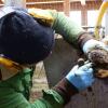 Landwirtschaft im Allgäu: Etwa alle sechs Monate steht für Rinder Klauenpflege an