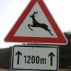 Doppeltes Pech: Autofahrer hat bei Lamerdingen hintereinander zwei Unfälle mit Rehen