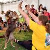 Tanzende Hunde im Tierheim Beckstetten